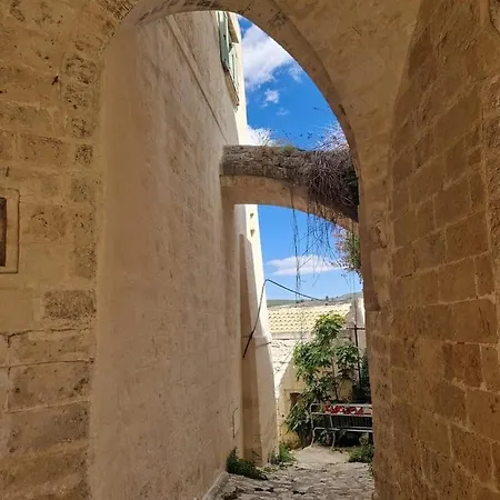L'antica Cattedrale *